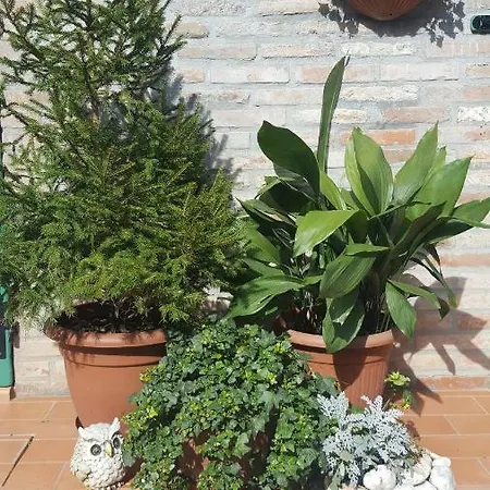 Apartment Carlo Mayr Ferrara